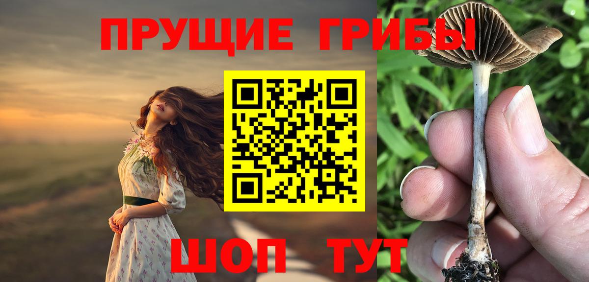 Новошахтинск  Галлюциногенные грибы Cubensis  Вход с VPN  Псилоцибиновые грибы Psilocybine cubensis 